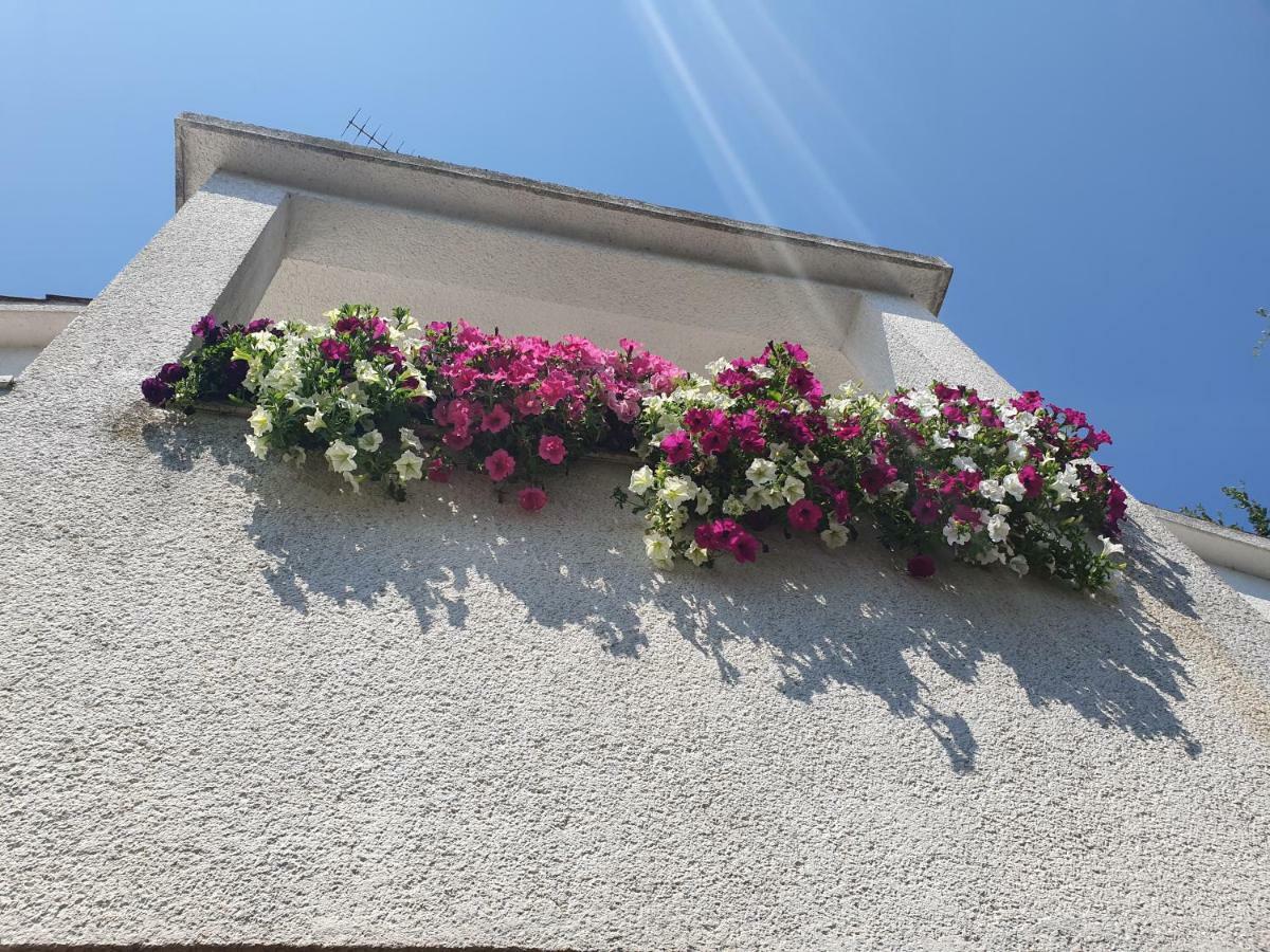Apartments Kero New Value 2023 Fully Ac Poreč Dış mekan fotoğraf